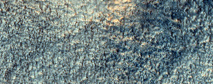 Terrain Sample