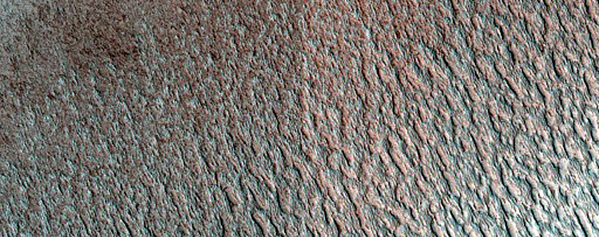Terrain Sample