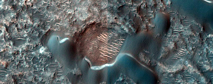 Dune Field