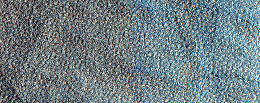 Terrain Sample