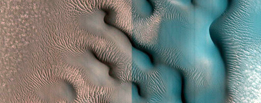 Dune Field