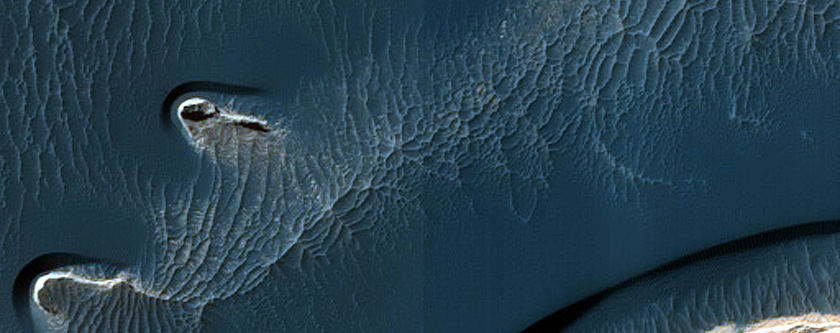 Dune Field