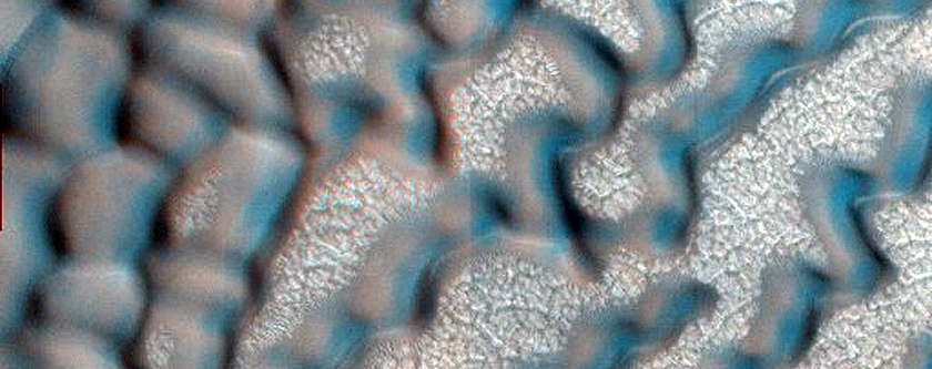 Dune Monitoring in Crater