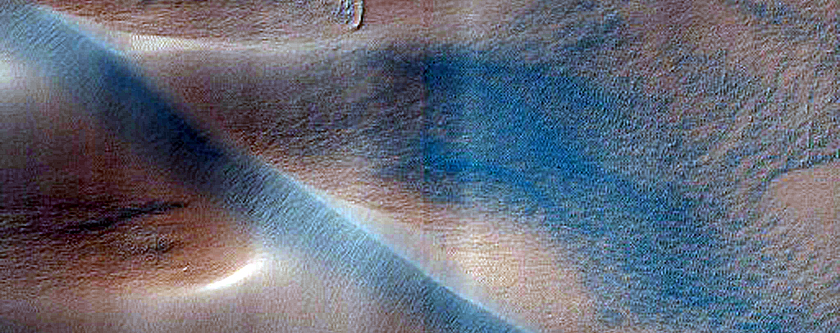 Dune Field