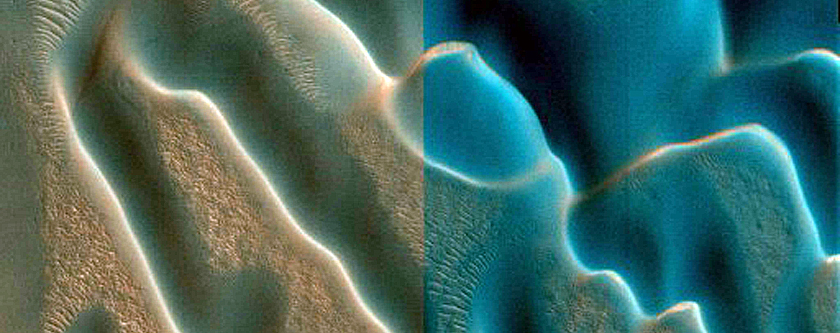 Dune Field