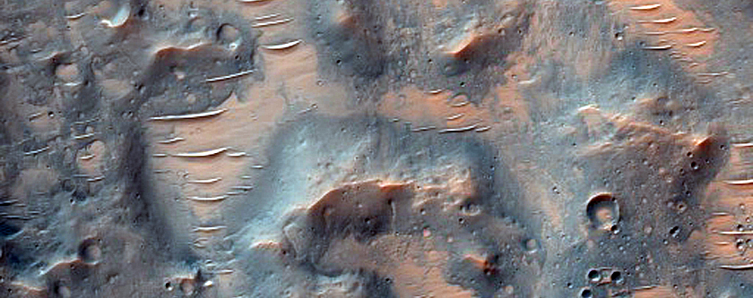 Dune Survey