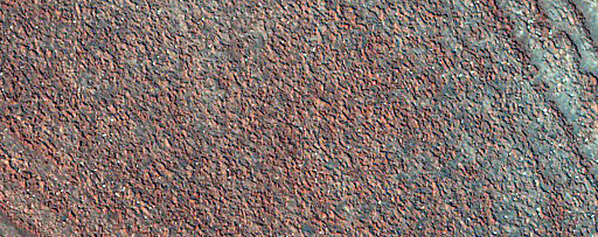 Terrain Sample