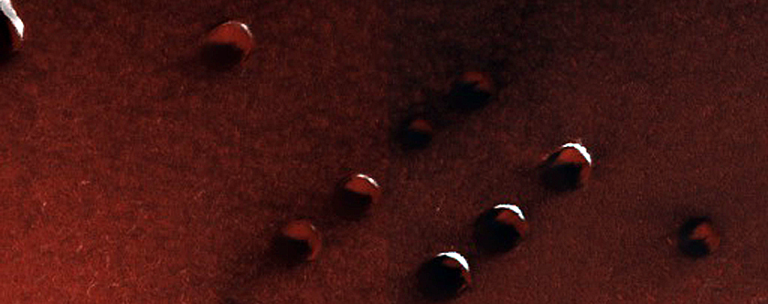 Dune Survey