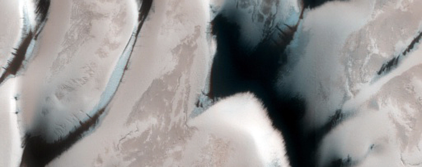 Terrain Sample
