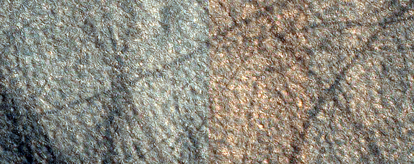 Dune Monitoring