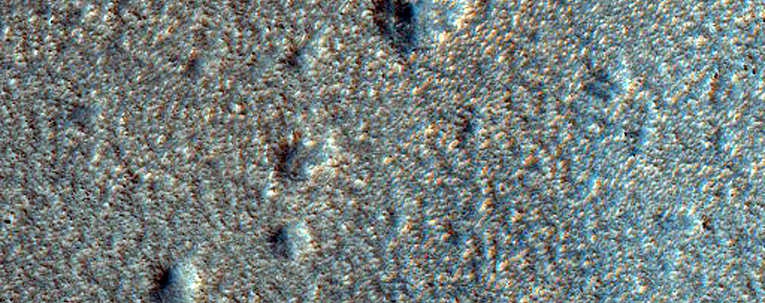 Terrain Sample
