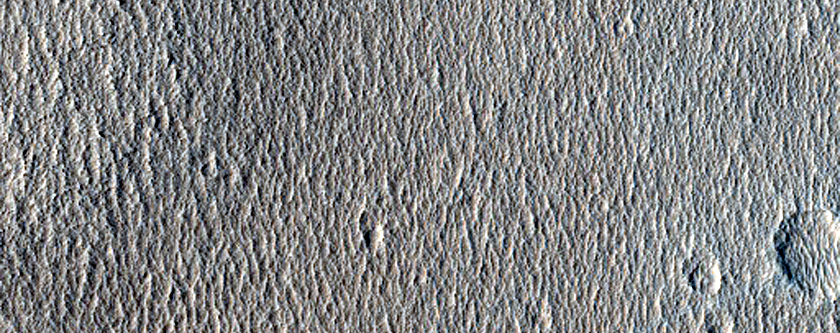 Terrain Sample