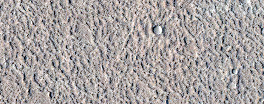 Monitoring New Impact Site