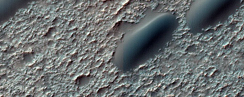 Dune Survey