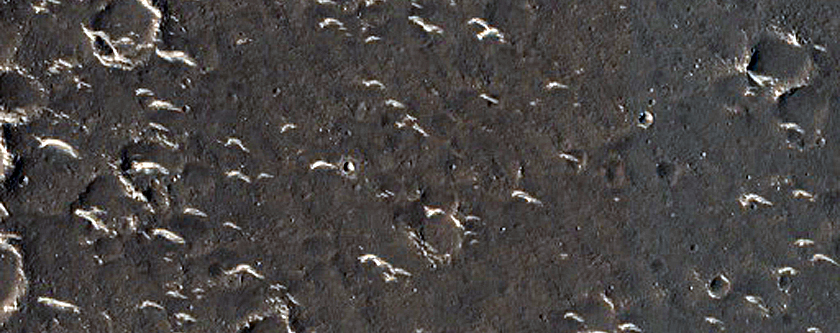 Utopia Planitia