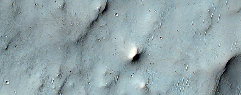 Terrain Sample