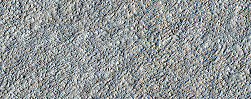 Amazonis Planitia Dust Devil Survey