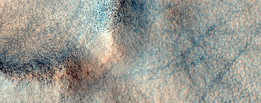 Terrain Sample