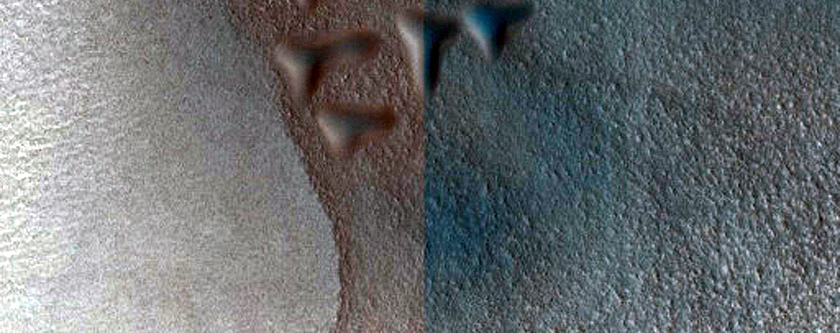 Dune Survey