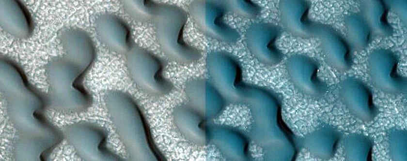 Dune Monitoring in Crater