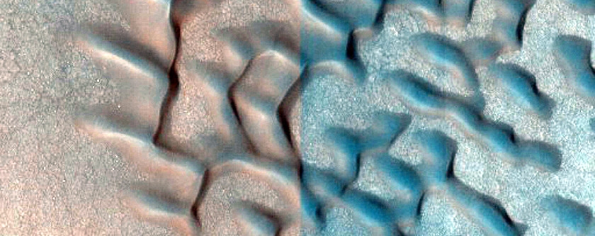 Dune Monitoring in Crater