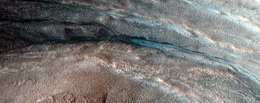 East Facing Gullies
