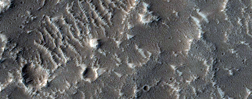 Terrain Sample