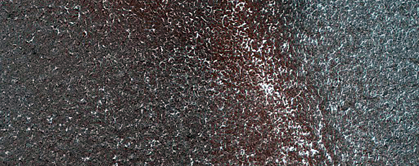 Terrain Sample