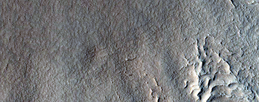 Gully Monitoring