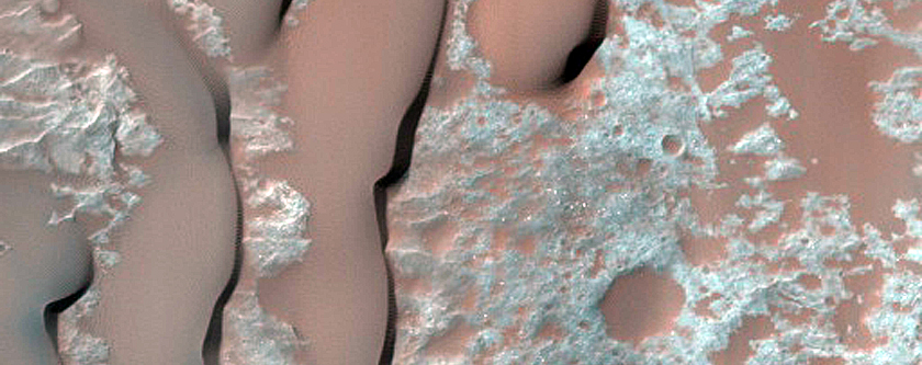 Dune Survey