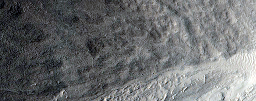 Gully Monitoring