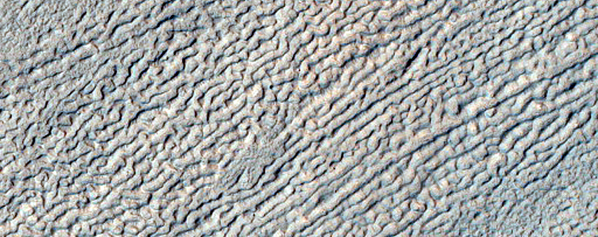 Monitoring New Impact Site