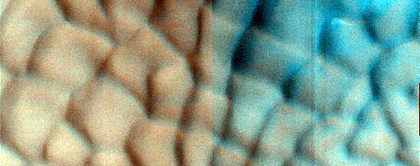 Dune Survey