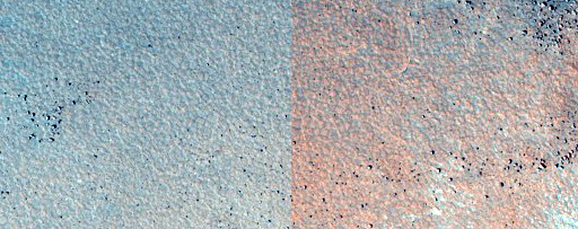 Dune Survey