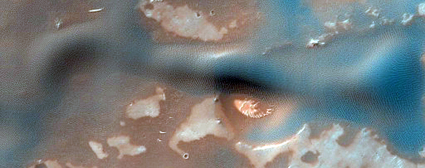 Dune Survey