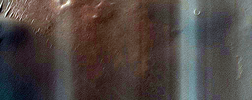 Dune Survey