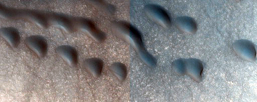 Dune Survey