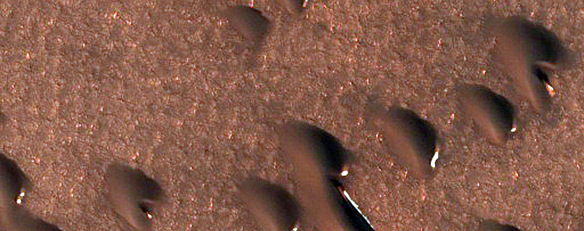 North Polar Region