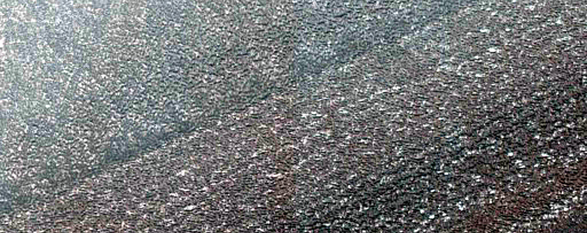 Terrain Sample