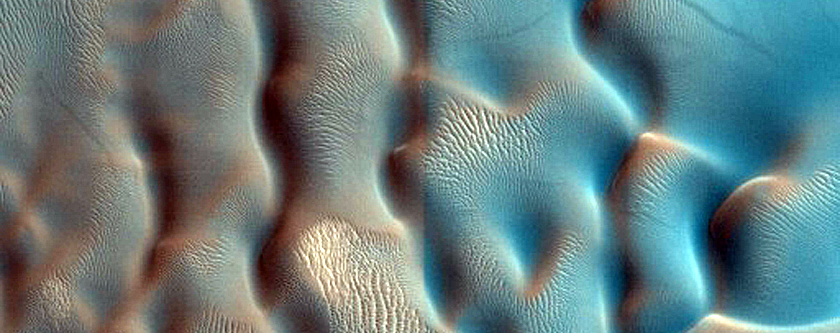 Dune Survey