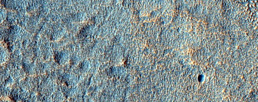 Terrain Sample