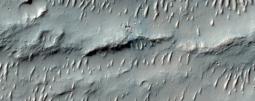 Terrain Sample