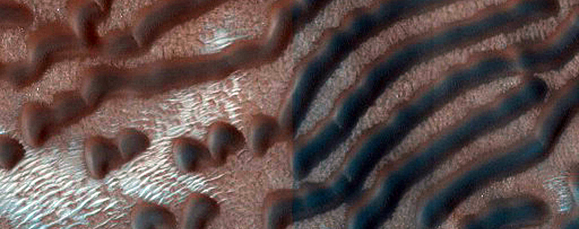Dune Monitoring in Northern Mid-Latitude Crater