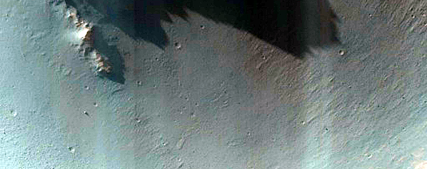 Dune Field