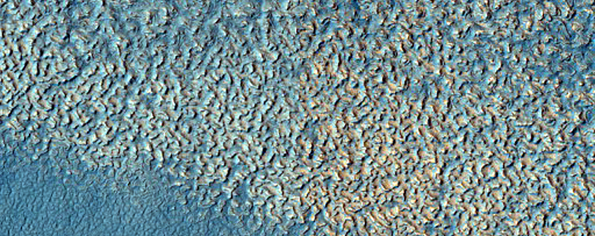Impact Monitoring in Arcadia Planitia