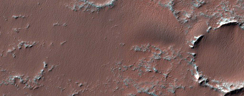 Dune Field