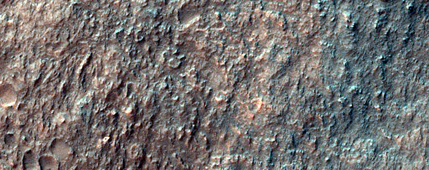 Layered Exposures and Gullies in Hellas Planitia