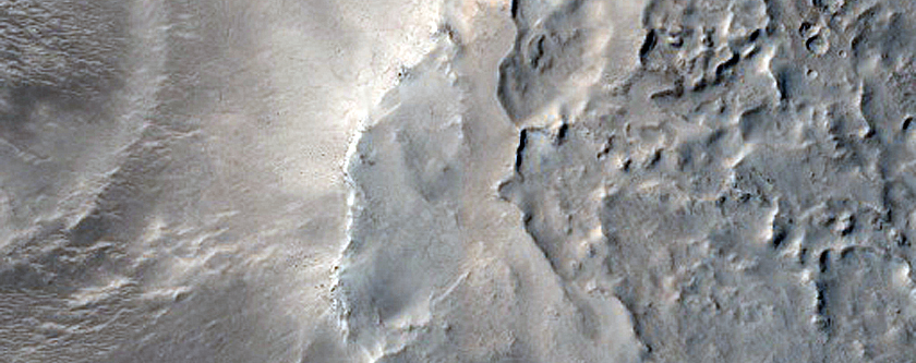 Ridge Networks in Nilosyrtis Region