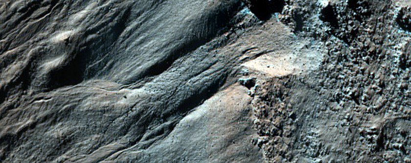 Gully Frost Monitoring
