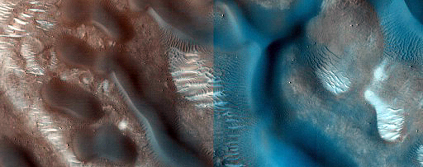 Dune Field